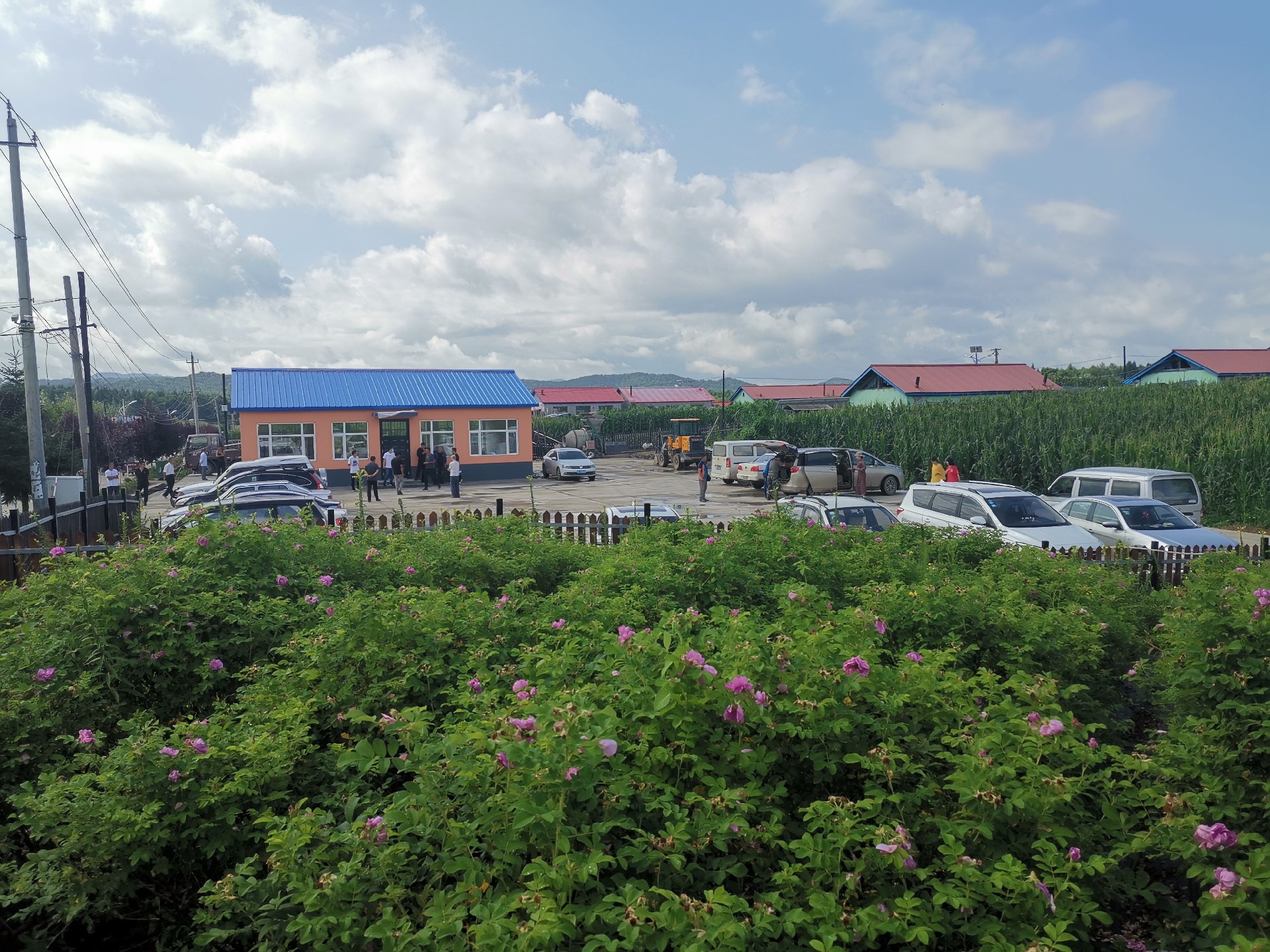 吉林省抚松县头道沟村美丽家园 (2).jpg